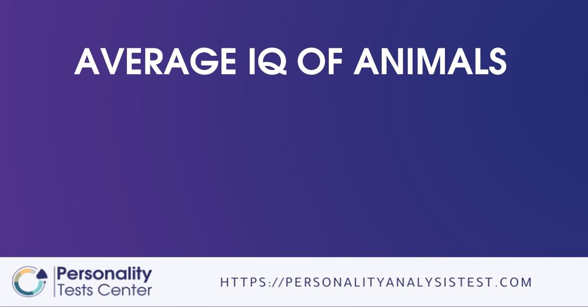 average iq of animals